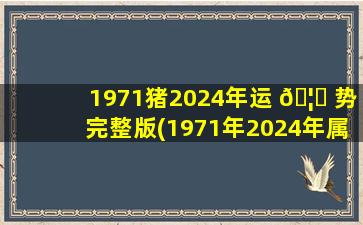 1971猪2024年运 🦟 势完整版(1971年2024年属猪人的全年运势)